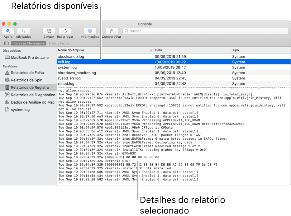 A janela do Console mostrando categorias de relatório na barra lateral, relatórios na parte superior e à direita da barra lateral e detalhes de relatório abaixo.