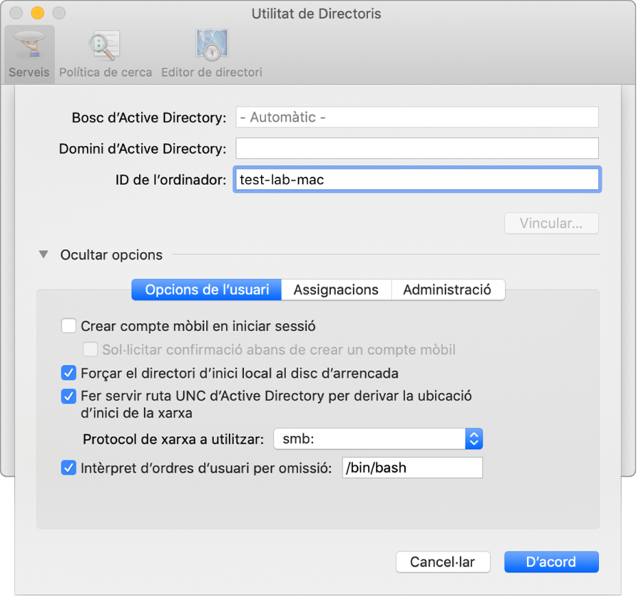 El quadre de diàleg de configuració d’Active Directory, amb la secció d’opcions ampliada.