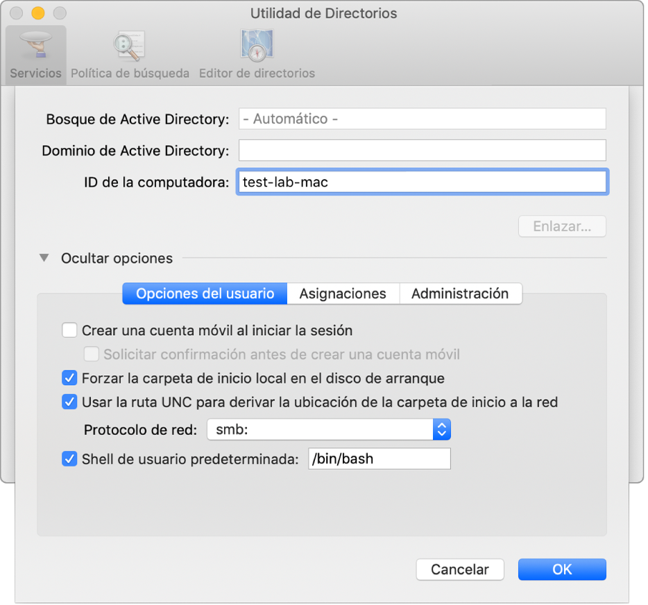 El cuadro de diálogo de configuración de Active Directory con la sección de opciones ampliada.