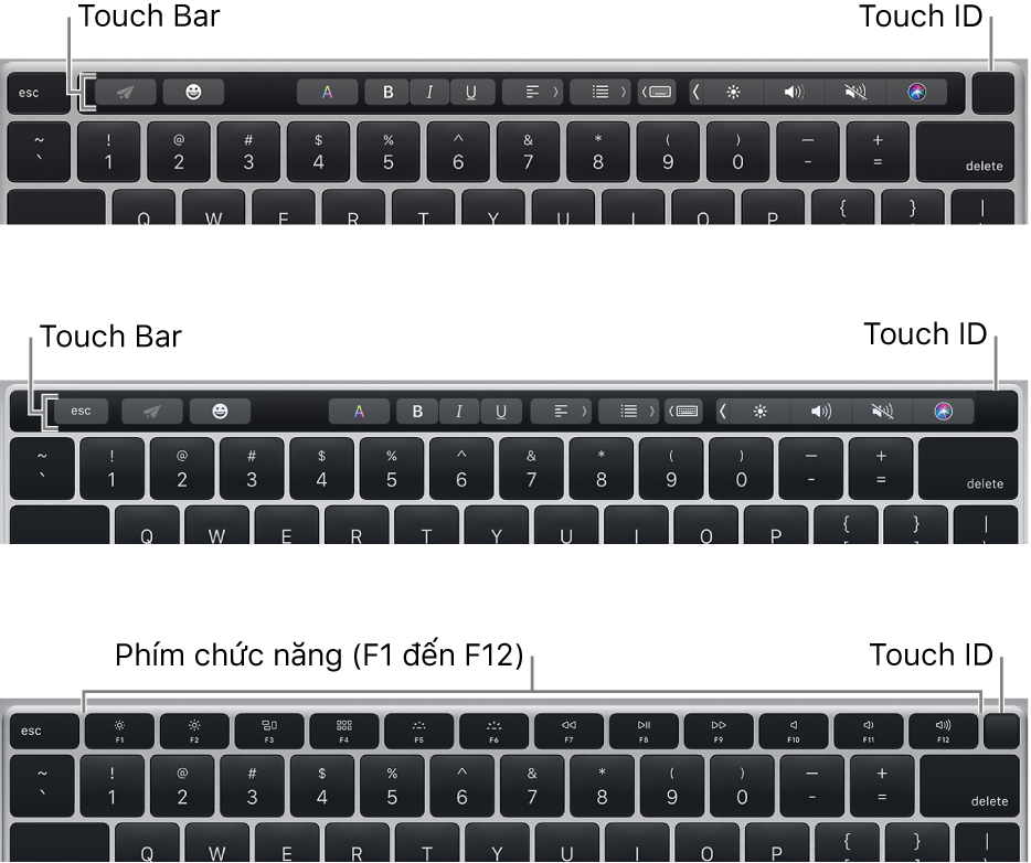 Touch ID, nằm ở góc trên cùng bên phải của bàn phím.