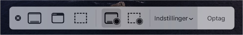 Skærmbilledværktøjer med knappen Optag til højre og lokalmenuen Indstillinger ved siden af.