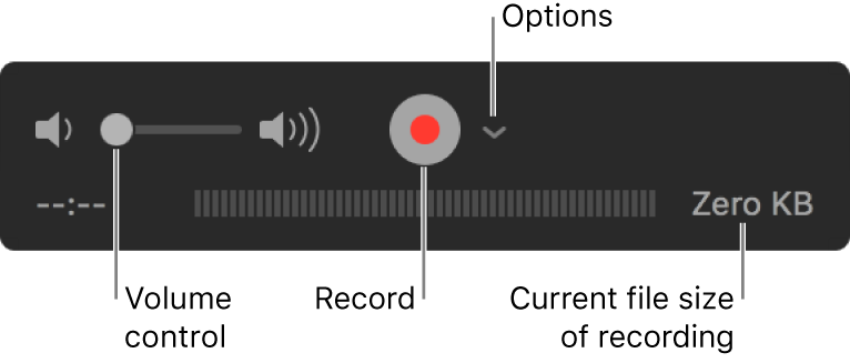 The recording controls, including the volume control, the Record button,and the Options pop-up menu.