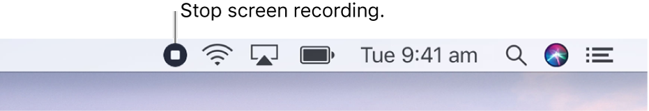 The menu bar showing the Stop Recording button.