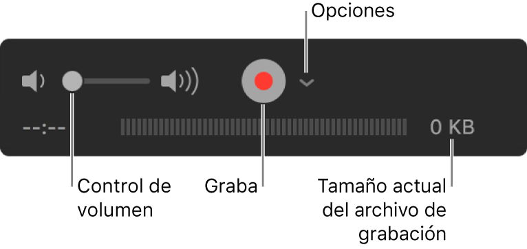 Los controles de grabación, incluido el control de volumen, el botón Grabar y el menú desplegable Opciones.