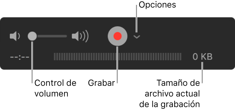 Los controles de grabación, incluido el control del volumen, el botón Grabar y el menú desplegable Opciones.