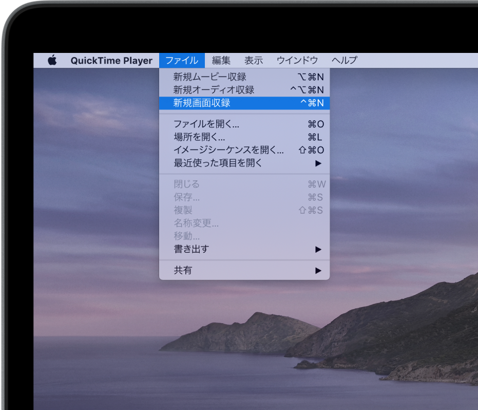 Mac用quicktime Playerユーザガイド Apple サポート