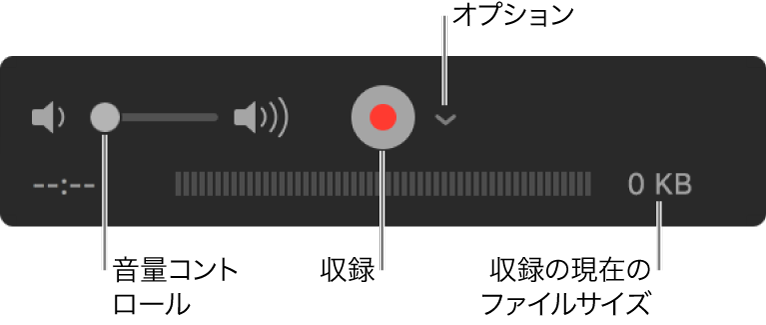 音量コントロール、収録ボタン、および「オプション」ポップアップメニューを含む収録コントロール。