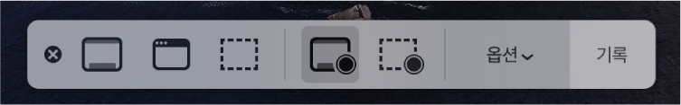 오른쪽에 기록 버튼과 그 옆에 옵션 팝업 메뉴가 있는 스크린샷 도구.