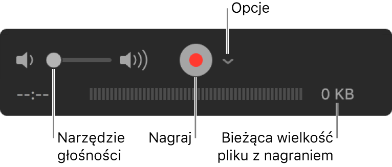Narzędzia nagrywania, w tym narzędzia głośności, przycisk nagrywania oraz menu podręczne opcji.