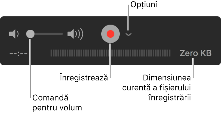 Comenzile de înregistrare, inclusiv comanda pentru volum, butonul Înregistrează și meniul pop-up Opțiuni.
