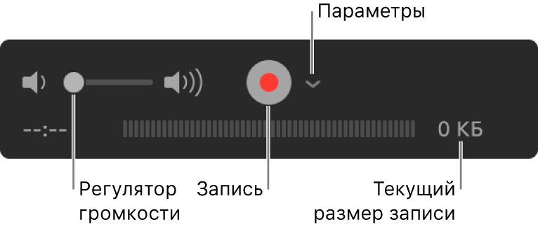 Элементы управления записью, включая регулятор громкости, кнопку «Запись» и всплывающее меню «Параметры».