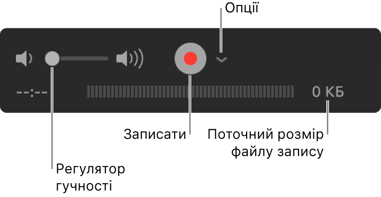 Елементи керування записом, в тому числі елементи керування гучністю, кнопка «Записати» і спливне меню «Параметри».