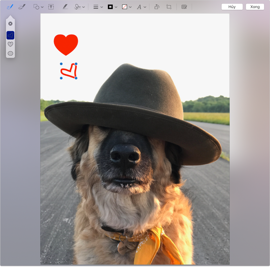 Hình ảnh với hình trái tim được vẽ trên đó bằng công cụ Đánh dấu.