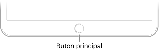 Butonul principal în partea de jos a iPad‑ului.