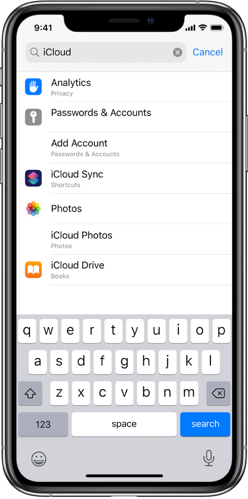 The search settings screen, with the search field at the top. The search term “iCloud” is in the search field, and the found settings are in the list below.