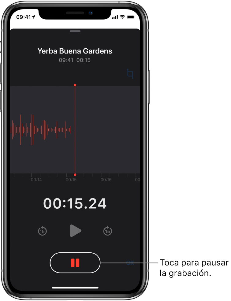 La pantalla de Notas de Voz mostrando una grabación en progreso, con un botón Pausa activado y controles atenuados para reproducir, avanzar 15 segundos y regresar 15 segundos. La parte principal de la pantalla muestra la onda de sonido de la grabación en progreso junto con un indicador de tiempo.