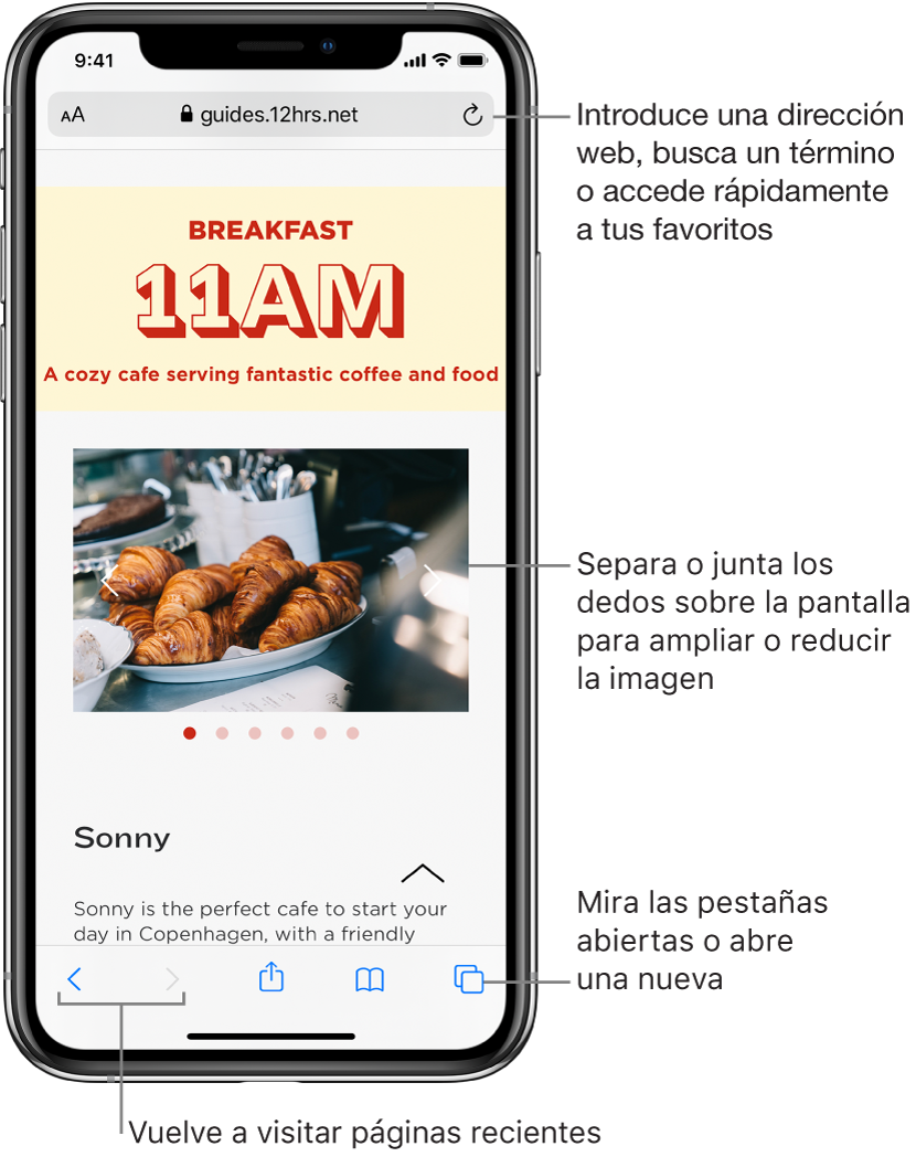 Sitio web abierto en una ventana de Safari con el campo de dirección en la parte superior. En la parte inferior, de izquierda a derecha, se encuentran los botones Atrás, Adelante, Compartir, Marcadores y Páginas.