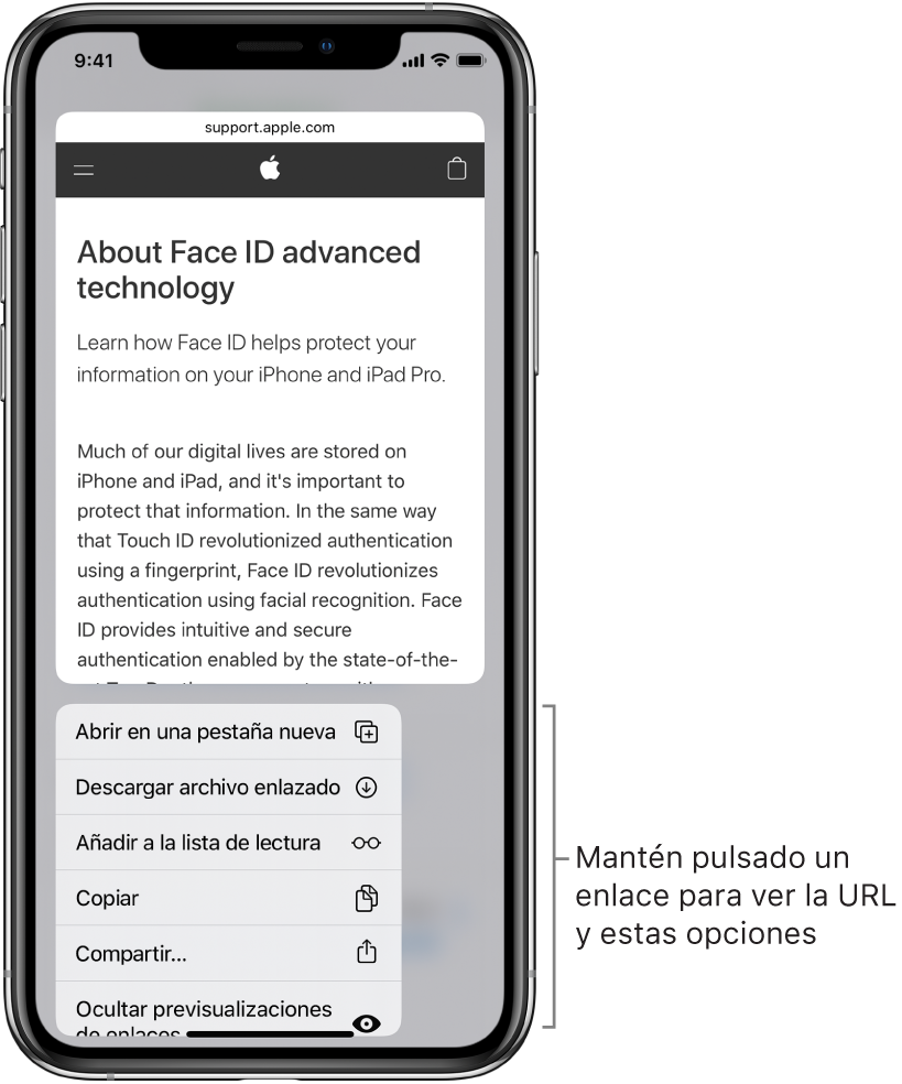 Superposición con una vista previa de la dirección URL de destino seguida de una lista de posible acciones: Abrir, “Añadir a la lista de lectura”, “Añadir a Fotos”, Copiar y Compartir.
