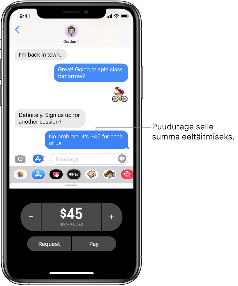 iMessage’i vestlus, kus all on avatud rakendus Apple Pay.