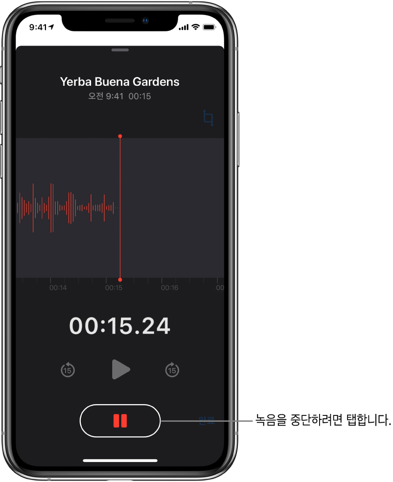 활성화된 일시 정지 버튼 및 흐리게 표시된 재생, 15초 앞으로 건너뛰기, 15초 뒤로 건너뛰기 제어기와 함께 진행 중인 녹음을 표시하는 음성 메모 화면. 화면의 주요 부분은 시간 표시기와 함께 진행 중인 녹음의 파형을 표시함.