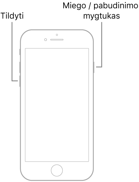 „iPhone 7“ iliustracija su į viršų nukreiptu ekranu. Tildymo mygtukas parodytas kairėje įrenginio pusėje, o miego / pažadinimo mygtukas parodytas dešinėje.