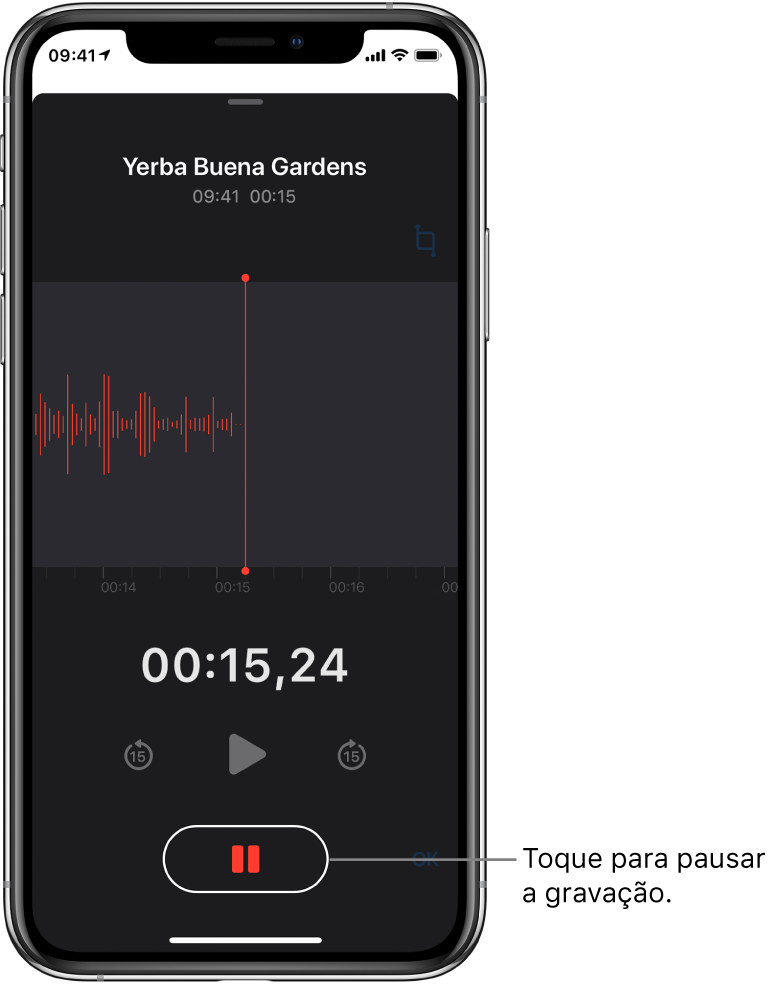 Tela do Gravador mostrando uma gravação em andamento, com o botão Pausar ativado e controles escurecidos para reproduzir, avançar 15 segundos e retroceder 15 segundos. A parte principal da tela mostra a forma de onda da gravação em andamento, além de um indicador de tempo.
