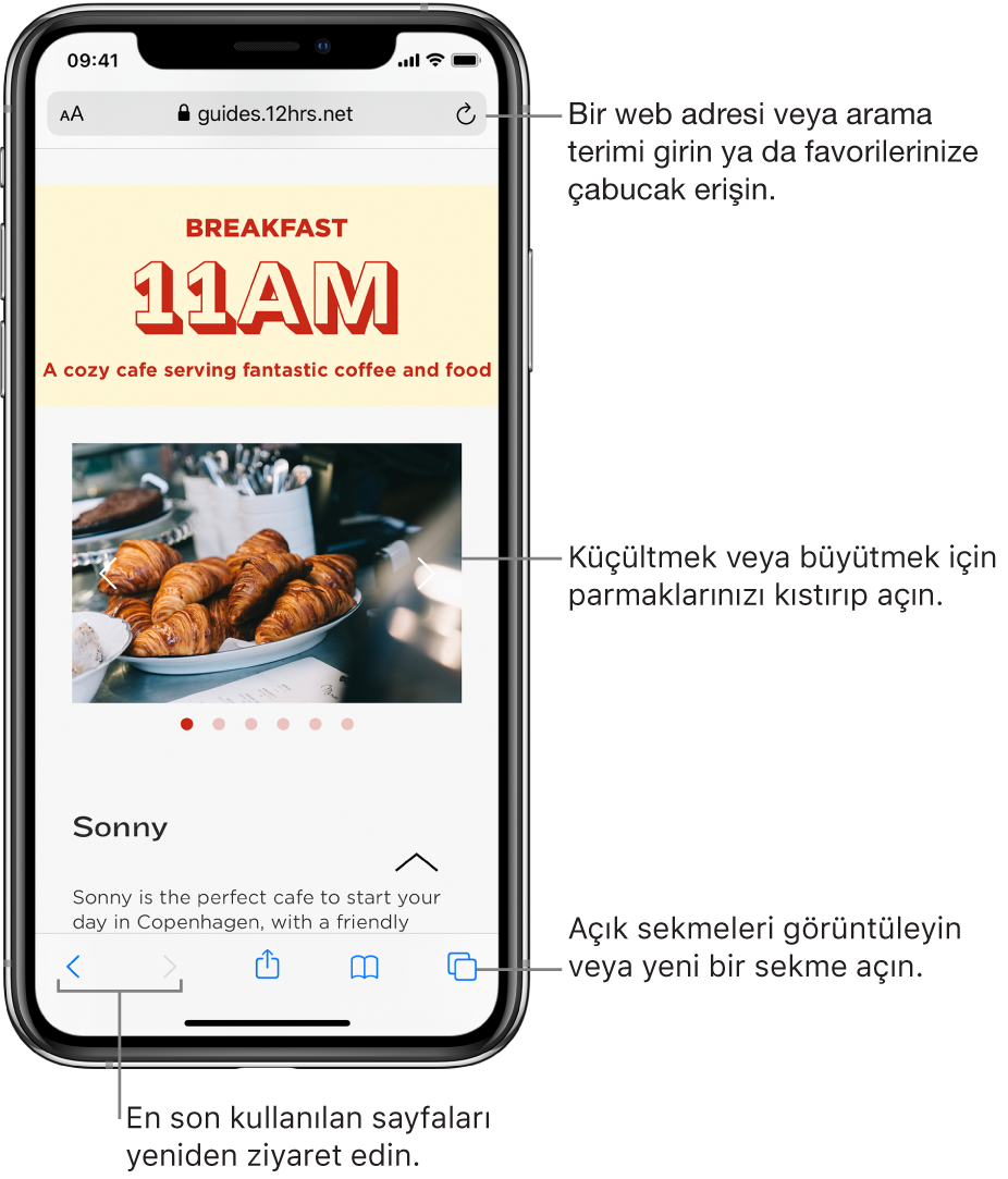Üst kısımda adres alanı ile birlikte Safari penceresinde açık bir web sitesi. Alt tarafta soldan sağa doğru Geri, İleri, Paylaş, Yer imleri ve Sekme düğmeleri bulunuyor.