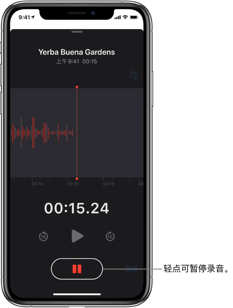 显示正在进行录音的“语音备忘录”屏幕,处于活跃状态的“暂停”按钮和变暗的播放、向前跳 15 秒钟和向后跳 15 秒钟控制。屏幕的主要部分显示正在进行的录音波形,以及时间指示器。