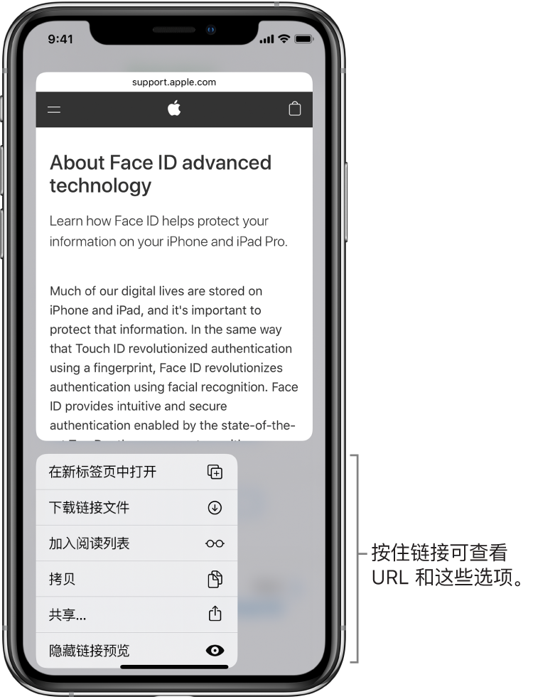 叠层显示了目的位置 URL 及可能的操作列表的预览:“打开”、“加入阅读列表”、“添加到‘照片’”、“拷贝”和“共享”。