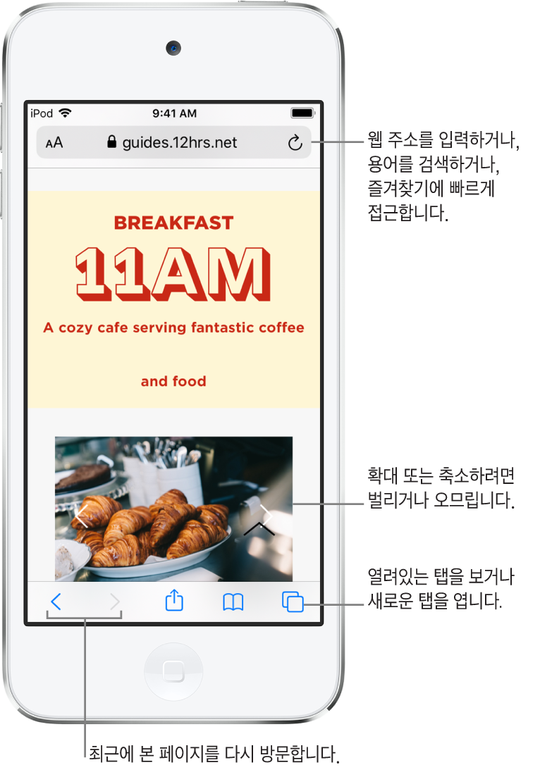 상단에 주소 필드가 있고 웹 사이트가 열려있는 Safari 윈도우. 하단 왼쪽에서 오른쪽으로 뒤로, 앞으로, 공유, 책갈피 및 페이지 버튼.