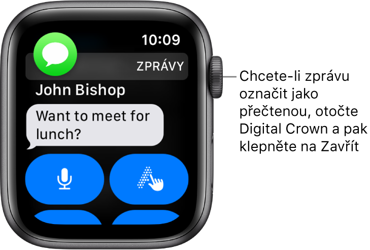 Oznámení zprávy s ikonou Zpráv vlevo nahoře a textem zprávy pod ní.