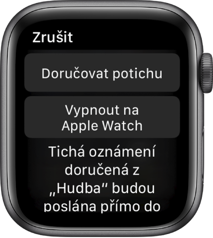 Nastavení oznámení na Apple Watch Na horním tlačítku je napsáno „Doručovat potichu“ a na tlačítku níže „Vypnout na Apple Watch“.