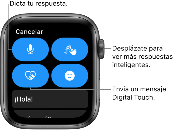 La pantalla de la respuesta mostrando los botones Dictado, Escribir, Digital Touch y Emoji. Debajo se muestran las respuestas inteligentes. Gira la corona Digital Crown para ver más respuestas inteligentes.