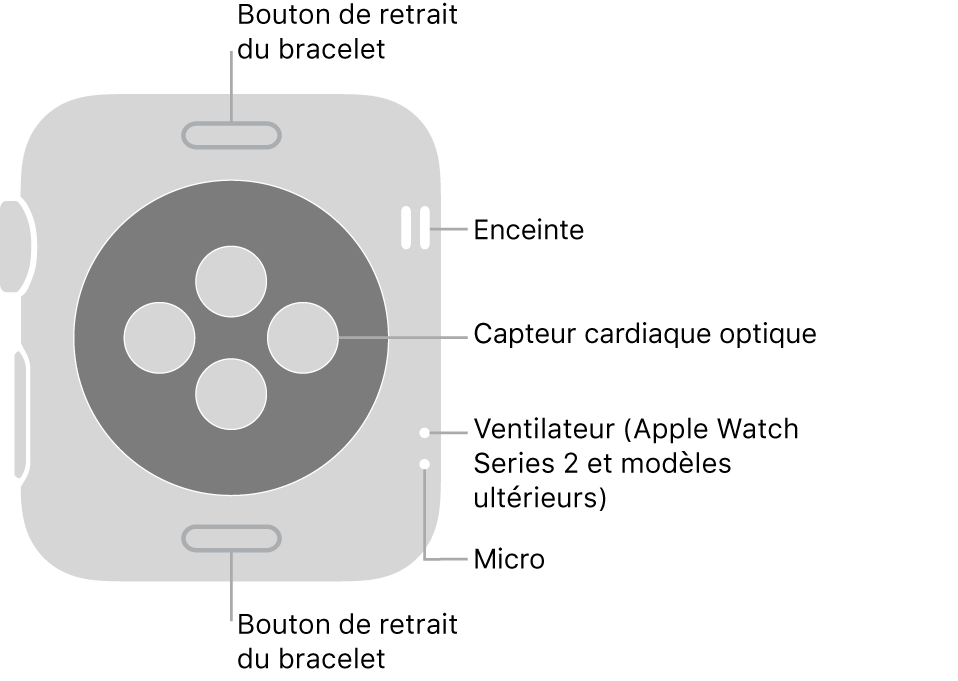 La face arrière de l’Apple Watch Series 3 et modèles antérieurs avec des légendes pointant vers le bouton pour défaire le bracelet, le haut-parleur, le capteur cardiaque optique, l’aération et le micro.