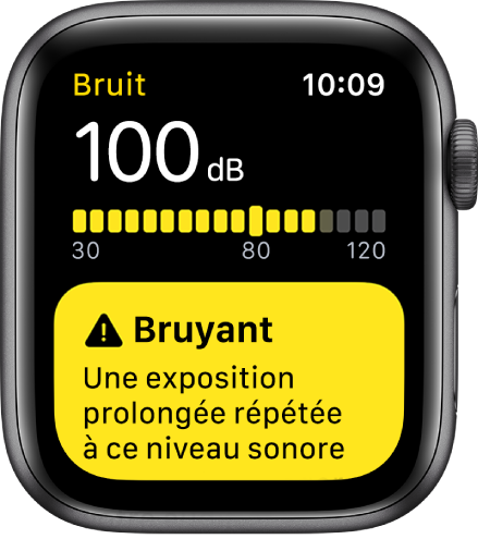 Un écran Bruit affichant un niveau de 100 dB. Un avertissement s’affiche en dessous.