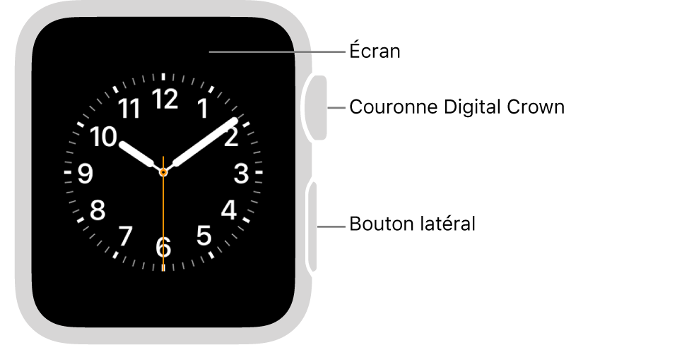 La face avant de l’Apple Watch Series 3 et versions antérieures avec des légendes pointant vers l’écran, la Digital Crown et le bouton latéral.