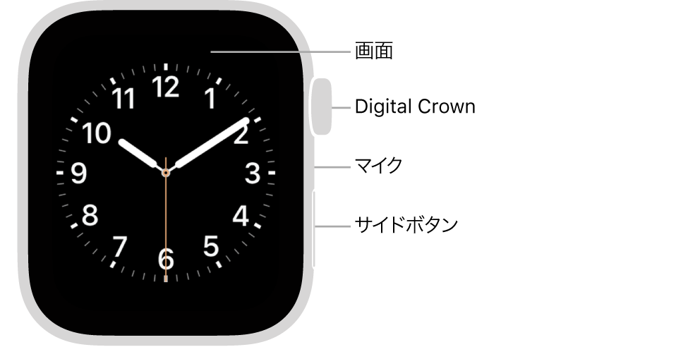 Apple Watch Series 5の前面で、ディスプレイ、Digital Crown、マイク、およびサイドボタンがあります。