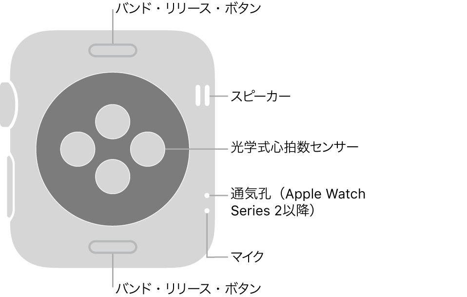 Apple Watch Series 3以前の背面で、バンド・リリース・ボタン、スピーカー、光学式心拍数センサー、通気孔、およびマイクがあります。