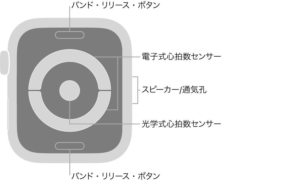 Apple Watch Series 4の背面で、バンド・リリース・ボタン、電子式心拍数センサー、スピーカー/通気孔、および光学式心拍数センサーがあります。