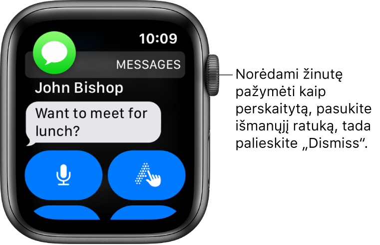 Žinutės pranešimas, viršuje kairėje pateikta „Messages“ piktograma, o po ja – žinutė.