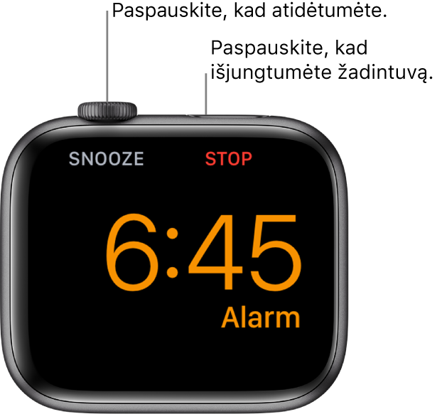 Ant šono padėtas „Apple Watch“, kurio ekrane rodomas aktyvus žadintuvas. Po „Digital Crown“ pateiktas žodis „Snooze“. Žodis „Stop“ pateiktas po šoniniu mygtuku.