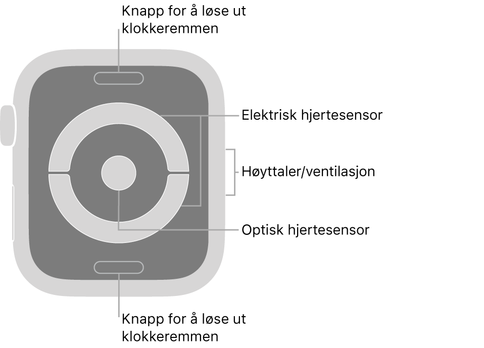 Baksiden av Apple Watch Series 4 med bildeforklaringer til remutløserknappene, den elektriske pulssensoren, høyttaleren/luftventilene og den optiske pulssensoren.