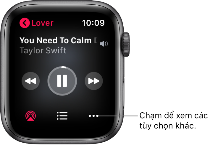 Màn hình Đang phát trong ứng dụng Nhạc. Tên album ở trên cùng bên trái. Tiêu đề bài hát và nghệ sĩ xuất hiện ở trên cùng, các điều khiển phát ở giữa, các nút AirPlay, danh sách bài và Tùy chọn ở dưới cùng.