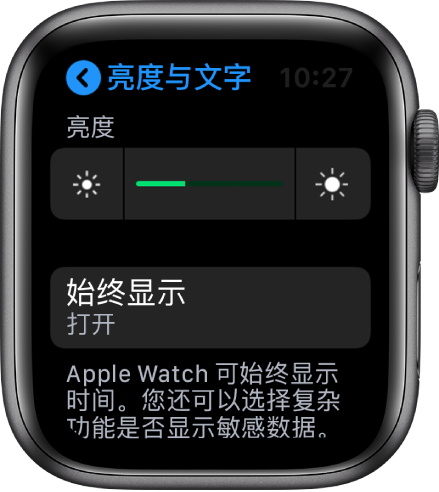 Apple Watch 屏幕,显示了“亮度与文字大小”屏幕中的“始终显示”按钮。