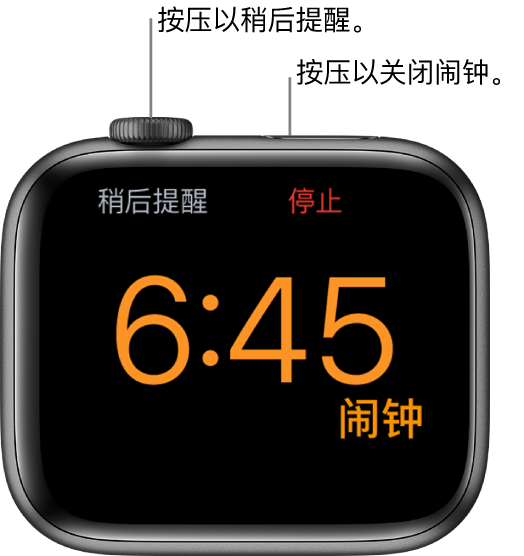 侧放着的 Apple Watch,屏幕显示已响的闹钟。数码表冠下方是“稍后提醒”。“停止”位于侧边按钮下方。