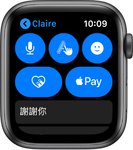 「訊息」畫面,顯示位於右下角的 Apple Pay 按鈕。