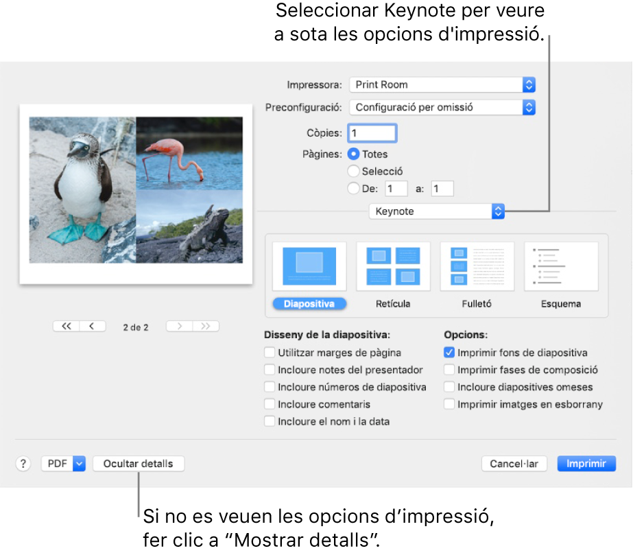 El quadre de diàleg Imprimir amb el Keynote seleccionat al menú desplegable que hi ha a sota del Pages. A sota hi ha les disposicions d’impressió Diapositiva, Retícula, Fulletó i Esquema amb l’opció Dispositiva seleccionada. A sota de les disposicions hi ha caselles per mostrar marges, incloure notes del presentador, imprimir imatges en qualitat d’esborrany i altres opcions.