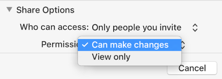 The Share Options section of the collaboration dialogue with the Permission pop-up menu open and “Can make changes” selected.