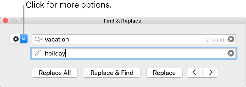 The Find & Replace window with a callout to the button to show more options.