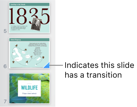 A blue triangle on a slide indicates the slide has a transition.
